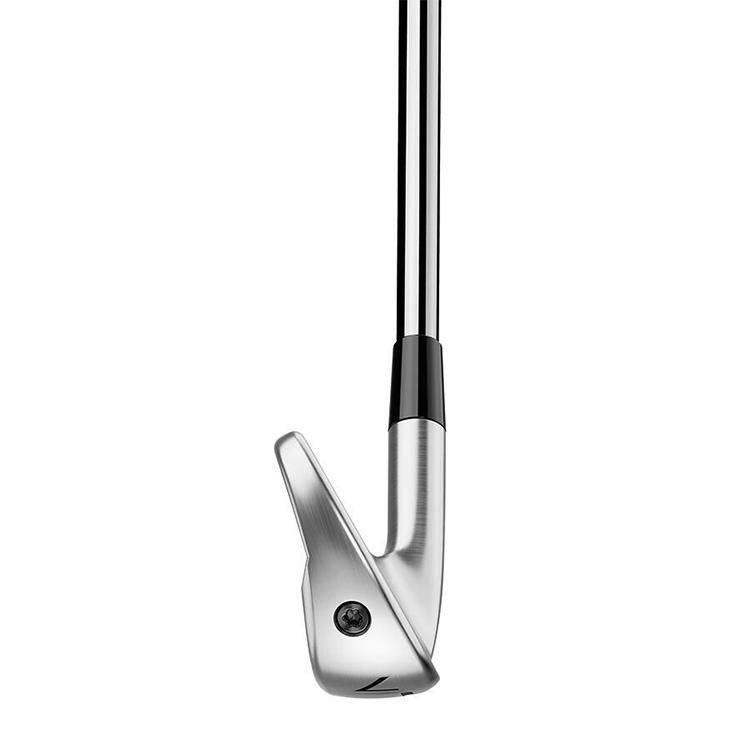 TaylorMade（テーラーメイド） P790 アイアン 5本セット(#6-PW) メンズ