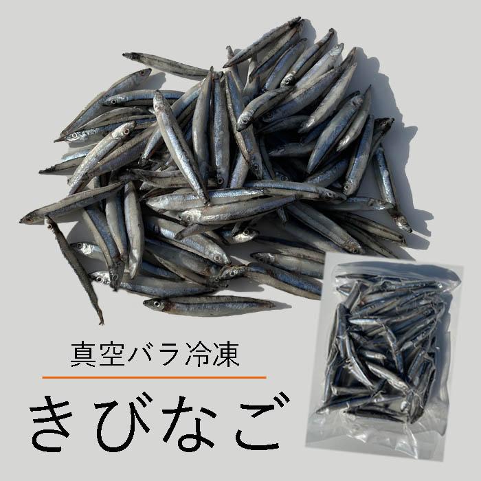 バラ 冷凍 きびなご エサ 真空パック 500g キビナゴ 釣りえさ 熱帯魚