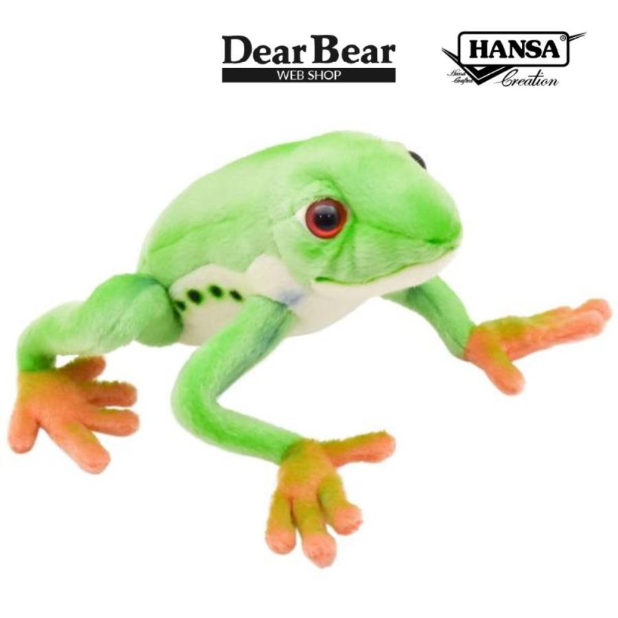 HANSA BH5218 アカメアマガエル あかめあまがえる 赤目雨蛙 かえる