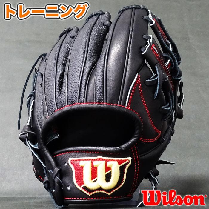トレーニング グラブ Try Hard DUAL D6型ベース ウィルソン(Wilson