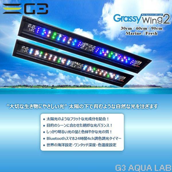 ボルクス グラッシーウィング2 マリン 30cm水槽用 : G3 AQUA LAB