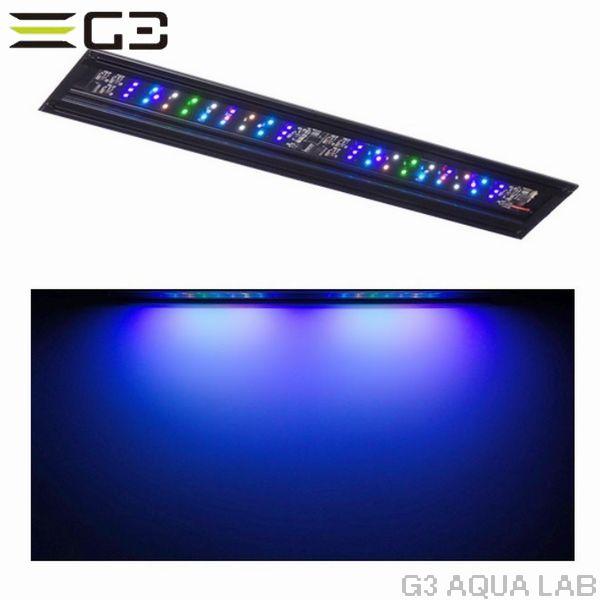 ボルクス グラッシーウィング2 マリン 30cm水槽用 : G3 AQUA LAB
