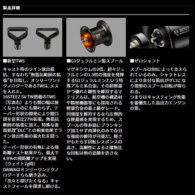 DAIWA（ダイワ） 24 スティーズ SV TW 100 右ハンドル (2024年モデル