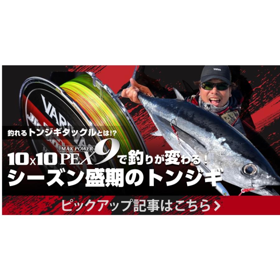 VARIVAS（バリバス） アバニ ジギング10×10 マックスパワーPEX9 200m