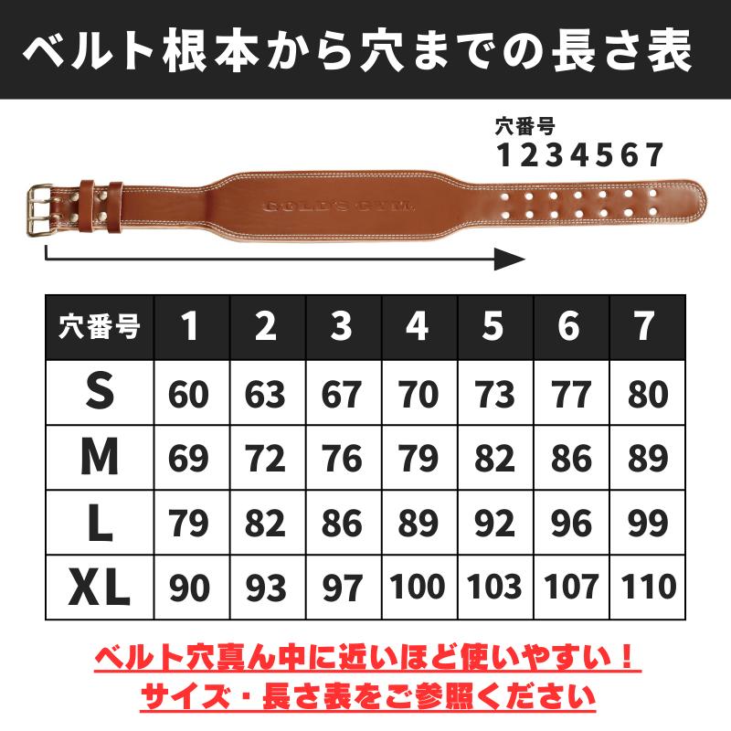 ゴールドジム（GOLD'S GYM） 【一部入荷まち】ゴールドジム プロレザー