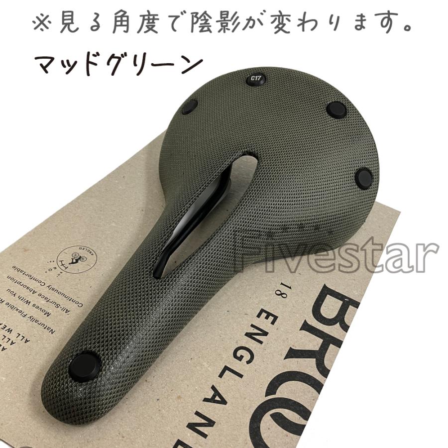 ブルックス（BROOKS） Brooks Cambium C17 Carved All Weather Black
