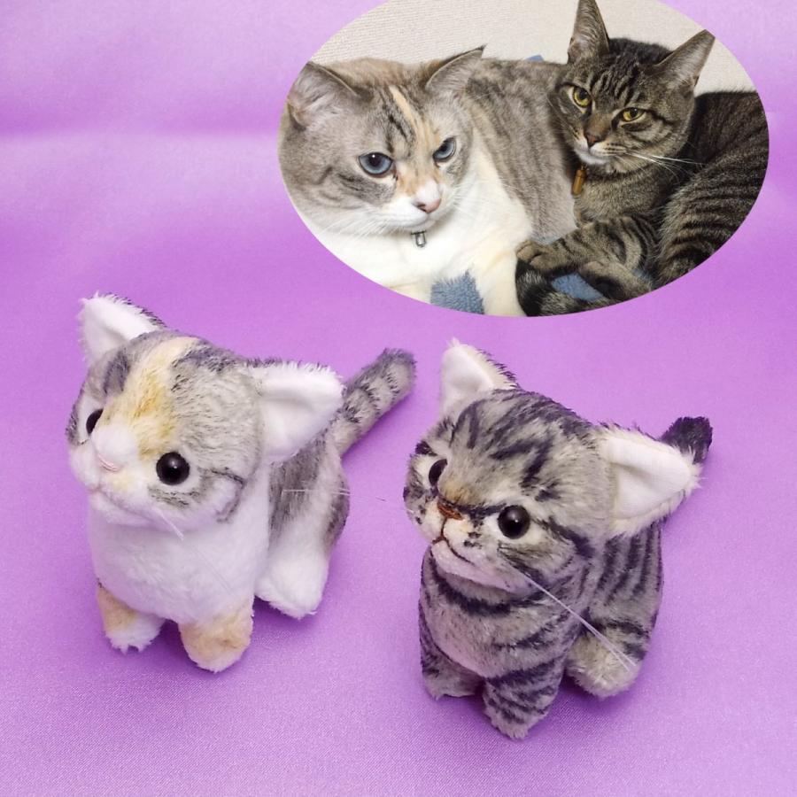 猫ぬいぐるみ「ちびにゃ」オーダーメイド カラーアイ対応 【受注制作
