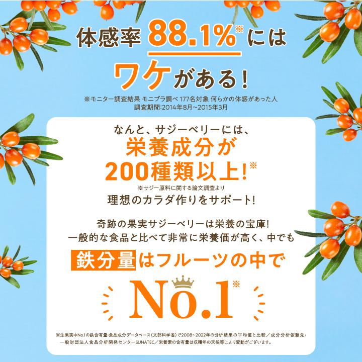 フィネス 豊潤サジー 1000ml サジージュース 紙パックタイプ 公式 200
