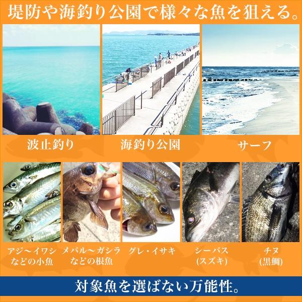 DAIWA（ダイワ） リバティクラブ 磯風 3号-53遠投・K 振出 サビキ ウキ
