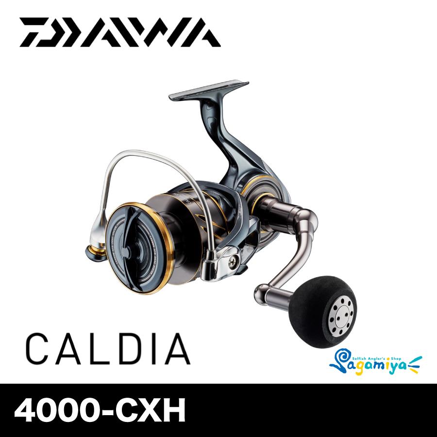 DAIWA（ダイワ） 22カルディア SW 4000-CXH（CALDIA） : フィッシング