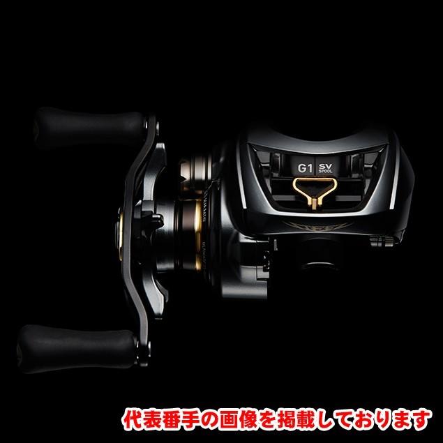 DAIWA（ダイワ） スティーズ CT SV TW 700XHL 左ハンドル ベイトリール