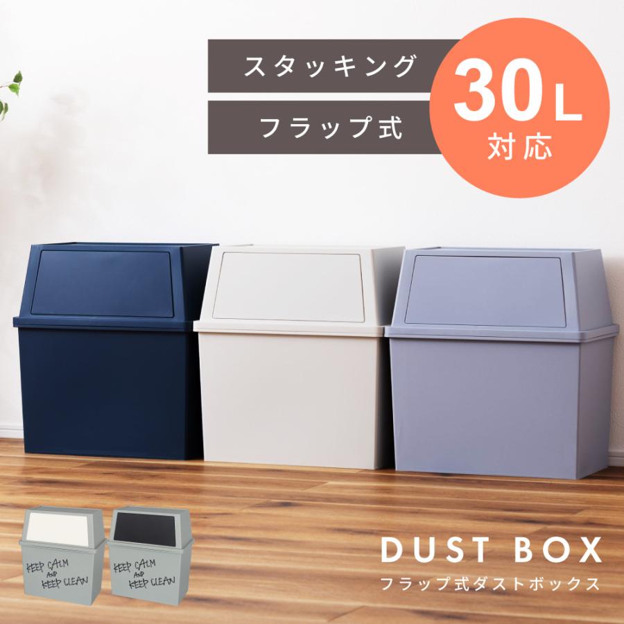 東谷 ゴミ箱 ごみ箱 おしゃれ ワイド 分別 キッチン フタ付き 屋外 30