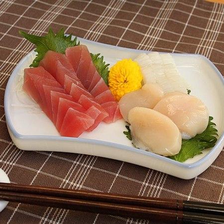 料亭刺身皿 (和食器 皿 料亭 業務用 日本製 アウトレット商品T