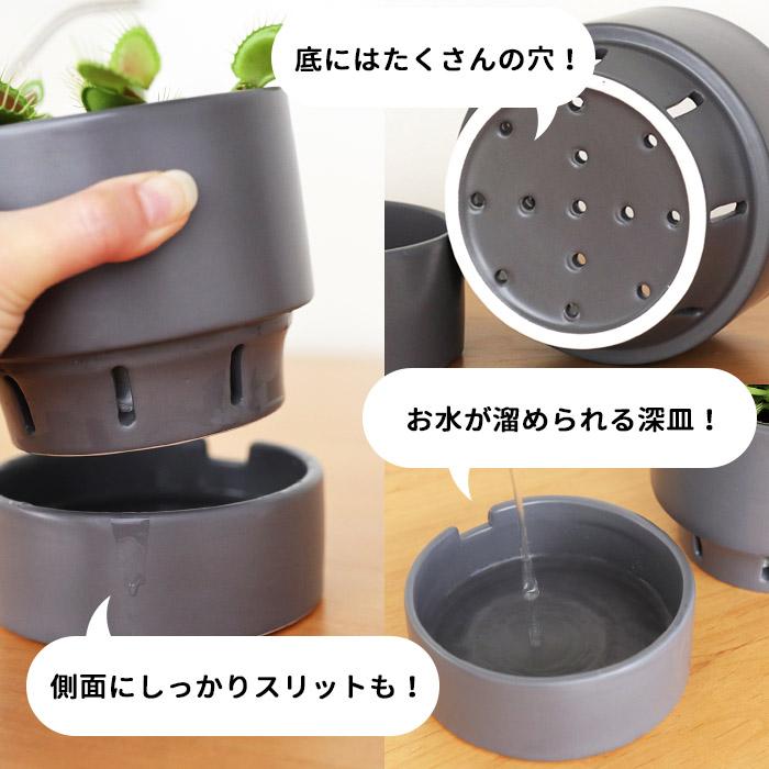 カラーが選べる植木鉢 すーさん Lサイズ 資 PP-0255-L 3.5号 受皿付
