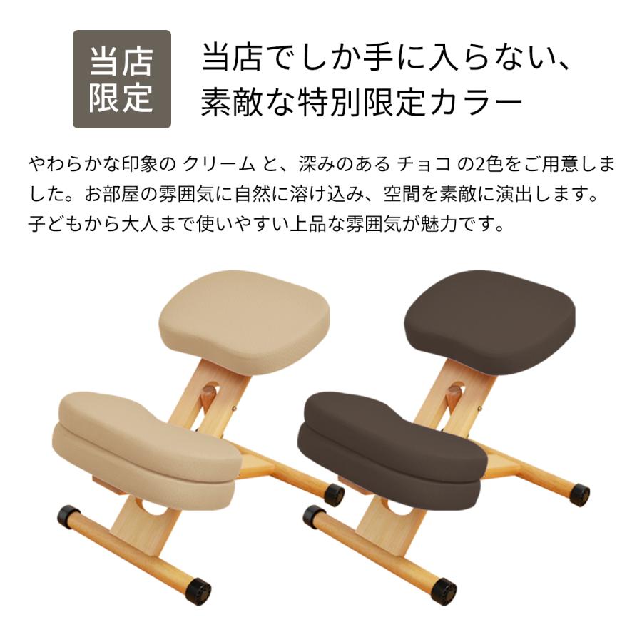 宮武製作所 補助クッション付き プロポーションチェアキッズ CH-889CK