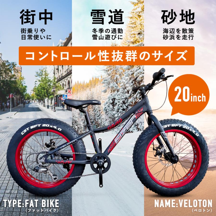 EIZER（アイゼル） ファットバイク 自転車 20インチ 極太タイヤ 太い