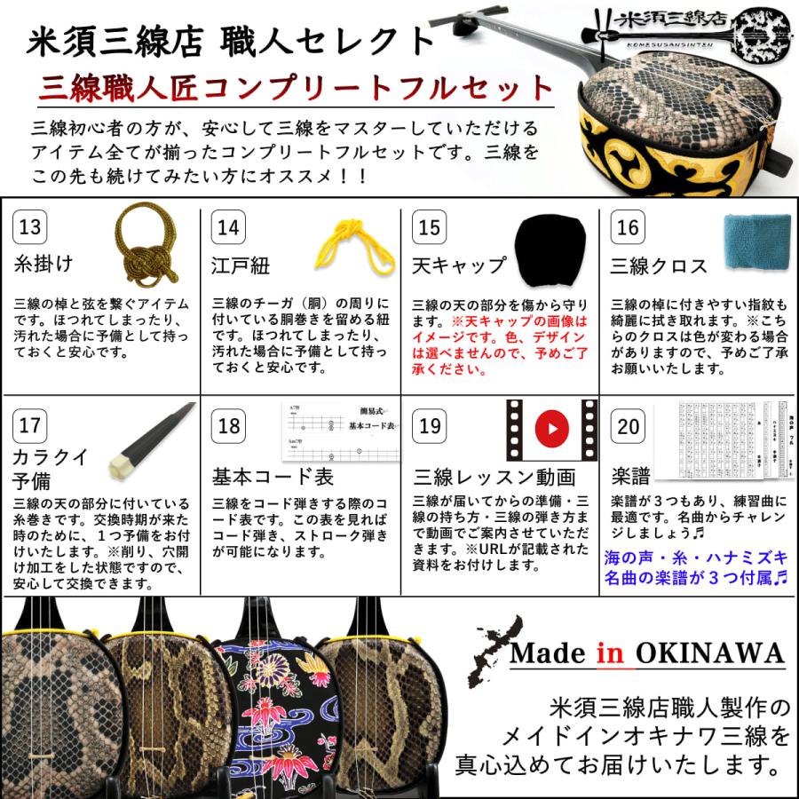 三線 上級黒木 初心者用『究極』コンプリートフルセット 本物志向の方
