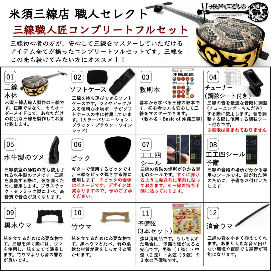 三線 沖縄三線 ペグカラクイ仕様 真壁型 黒塗り 本蛇皮強化張り 初心者