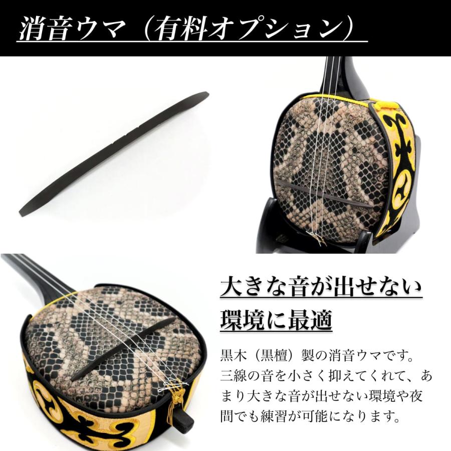 沖縄三線 初心者用スタンダードセット カスタマイズオプション付【海の