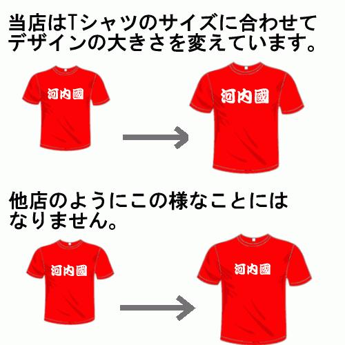 ベースボールドライTシャツ (5×6色) 阪神タイガース応援 アカン！阪神