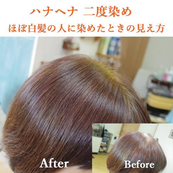 ヘナ ハナヘナ hana henna ナチュラル＆インディゴ 100g 二度染めお得