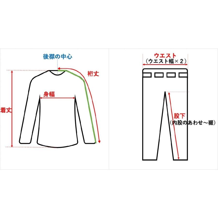 Phenix フェニックス レディース スキーパンツ 8/38 ブラウン