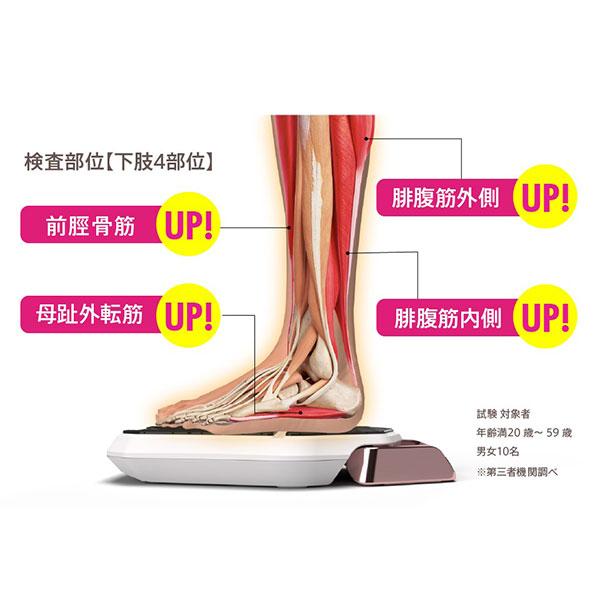 SLIMPAD（スリムパッド） 【直送】スリムパッド Legness 正規品 ギフト