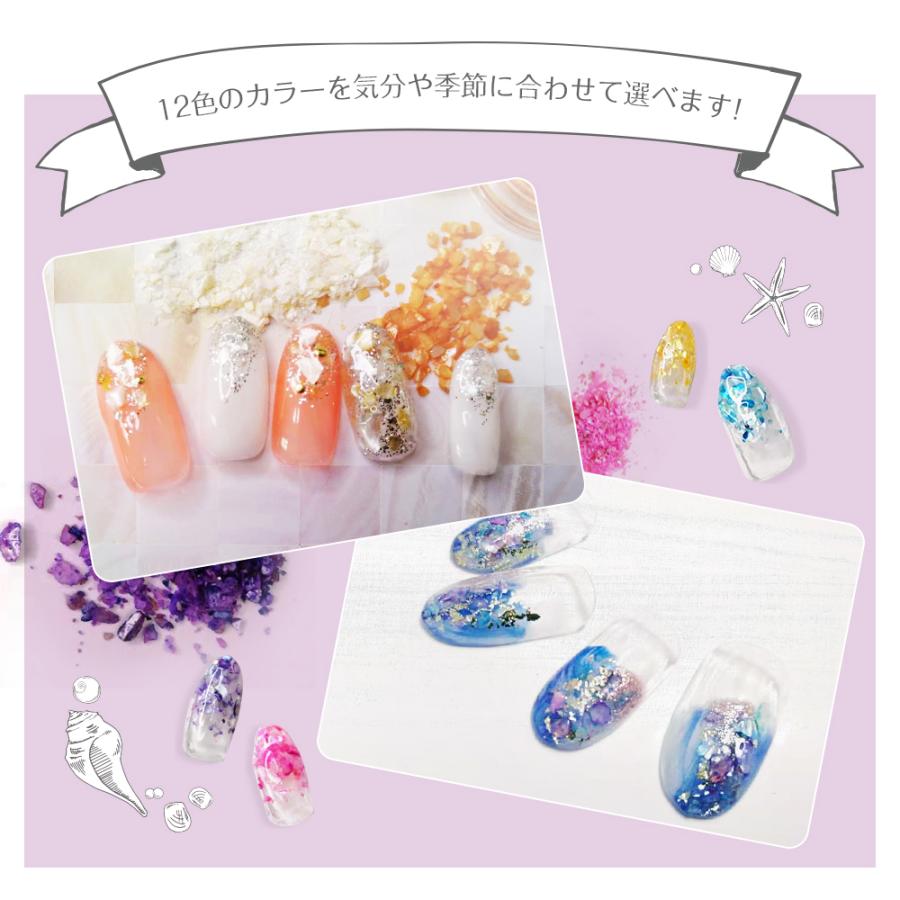 Petitor シェルパウダー クラッシュシェル P12色セット ネイルパーツ