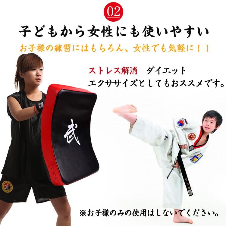 キックミット ビッグミット 空手 ボクシング キック パンチング ミット