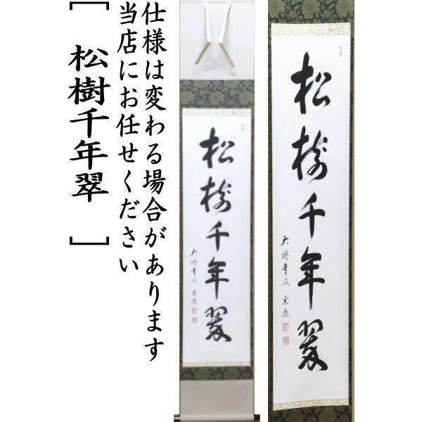 茶道具 掛軸 掛け軸 一行 松樹千年翠 前田宗源筆 茶道 : 茶道具いまや