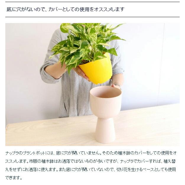 ナップラ イッタラ プラントポット 260x155mm iittala NAPPULA 北欧