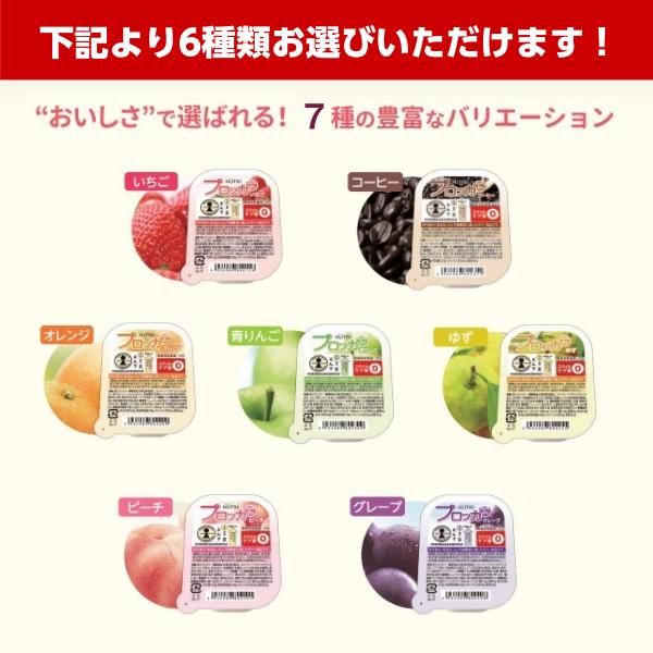 プロッカZn 選べる6種×各5個 ニュートリー たんぱく質 カルシウム 高