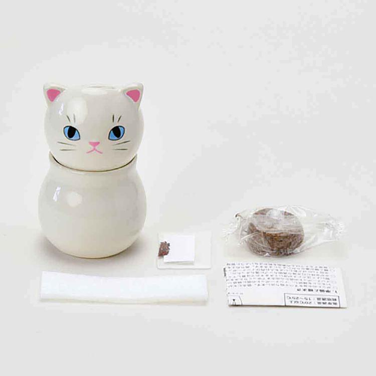 栽培キット 3種セット ミント バジル ワイルドストロベリー コロコロ
