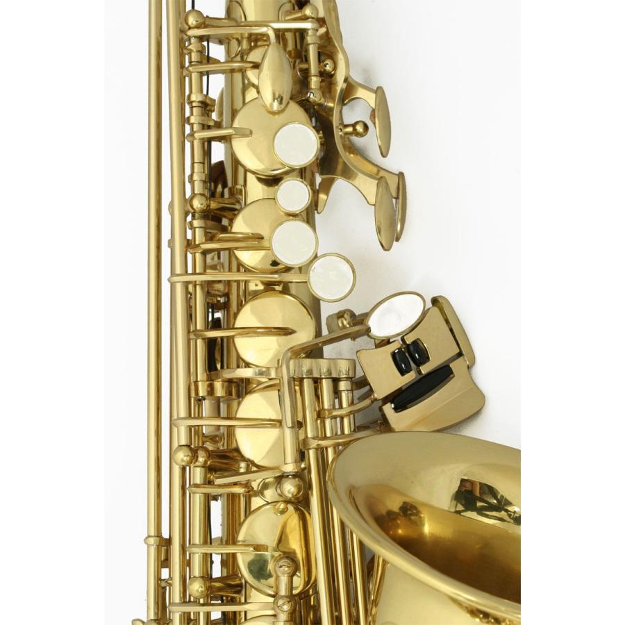 SELVA 初心者向けアルトサックス入門セット ALTOSAX SAS-100 セルバ