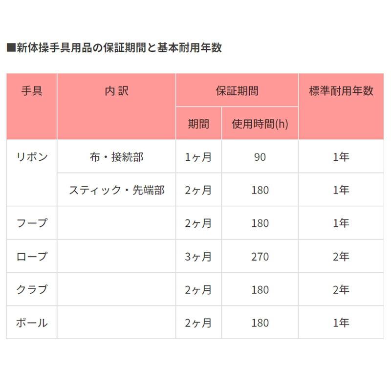 ササキスポーツ SASAKI ササキ ジュニアビニールボール (M-21C) 径13