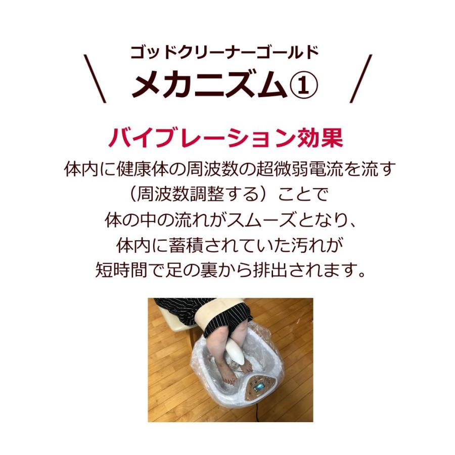 ゴッドクリーナーゴールド GOD-CLEANER・GOLD 【個人用】｜ 正規販売