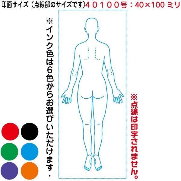 シヤチハタ（Shachihata） 人体図 シャチハタ 医療用人体図 全身 女性