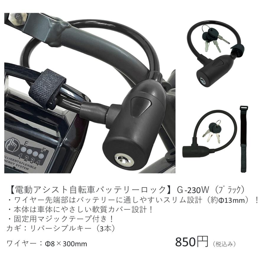BRIDGESTONE（ブリヂストン） 電動自転車 子供乗せ HYDEE.II (ハイディ
