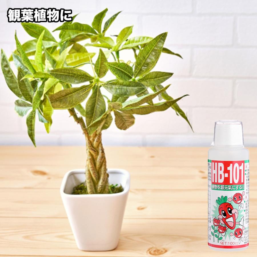 フローラ 【メーカー公式】フローラ(Flora) 天然植物活力液 HB-101