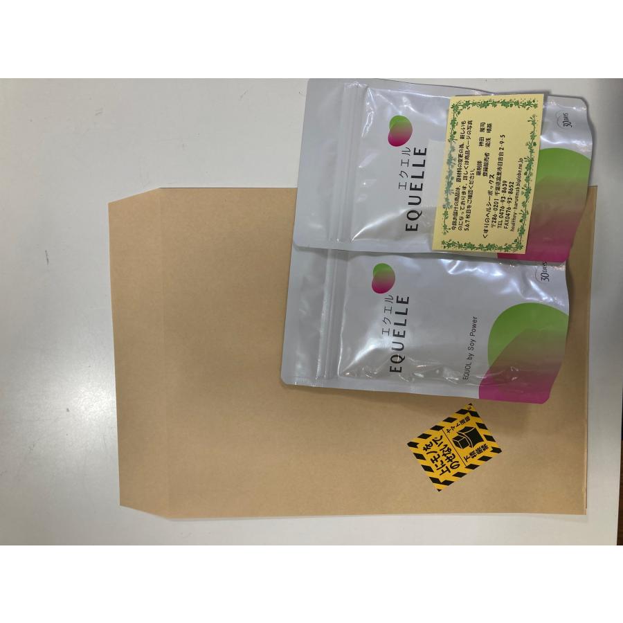 エクエル 120粒入 2個セット パウチ エクオール 大塚製薬 EQUELLE