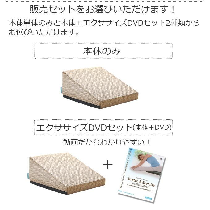 サンテプラス フレックスクッション（本体のみ） : ルネサンスYahoo!店
