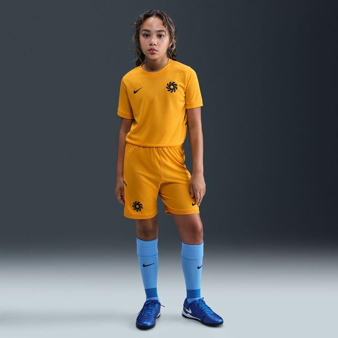 NIKE（ナイキ） サッカーウェア 半袖シャツ ジュニア アーリン