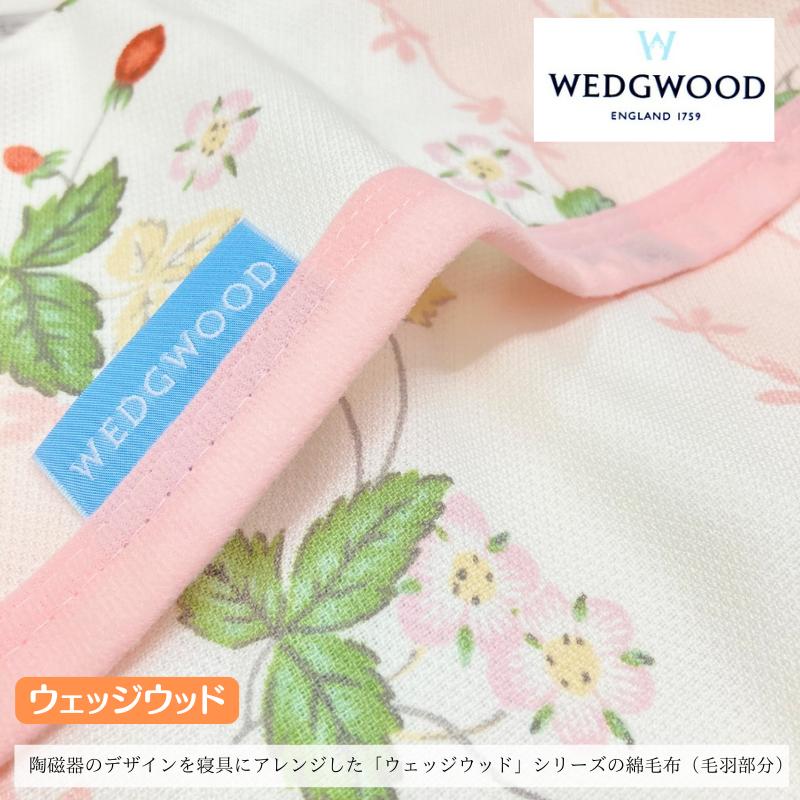 西川（nishikawa） 訳あり ウェッジウッド 綿毛布 コットン 綿100