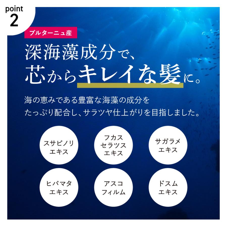 公式 シャンプー cocone 大容量 詰め替え用ココネ モイスト クレイ