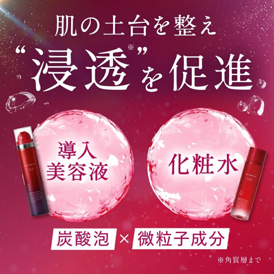 ESIENCE（エシエンス） 導入美容液 化粧水 ナノシープセラム ナノ