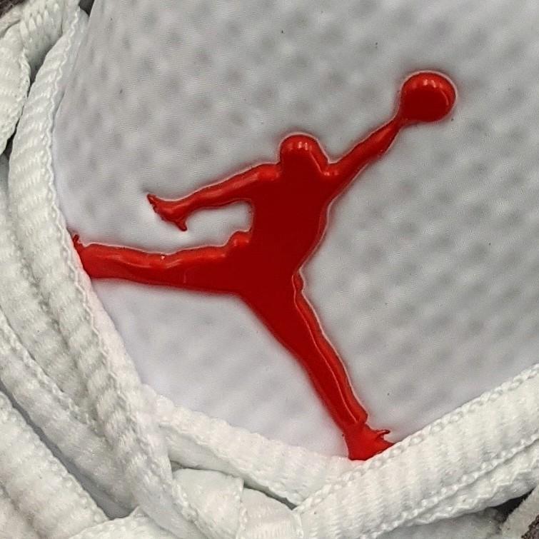 NIKE（ナイキ） JORDAN ADG 2 NIKE ジョーダン ゴルフシューズ メンズ