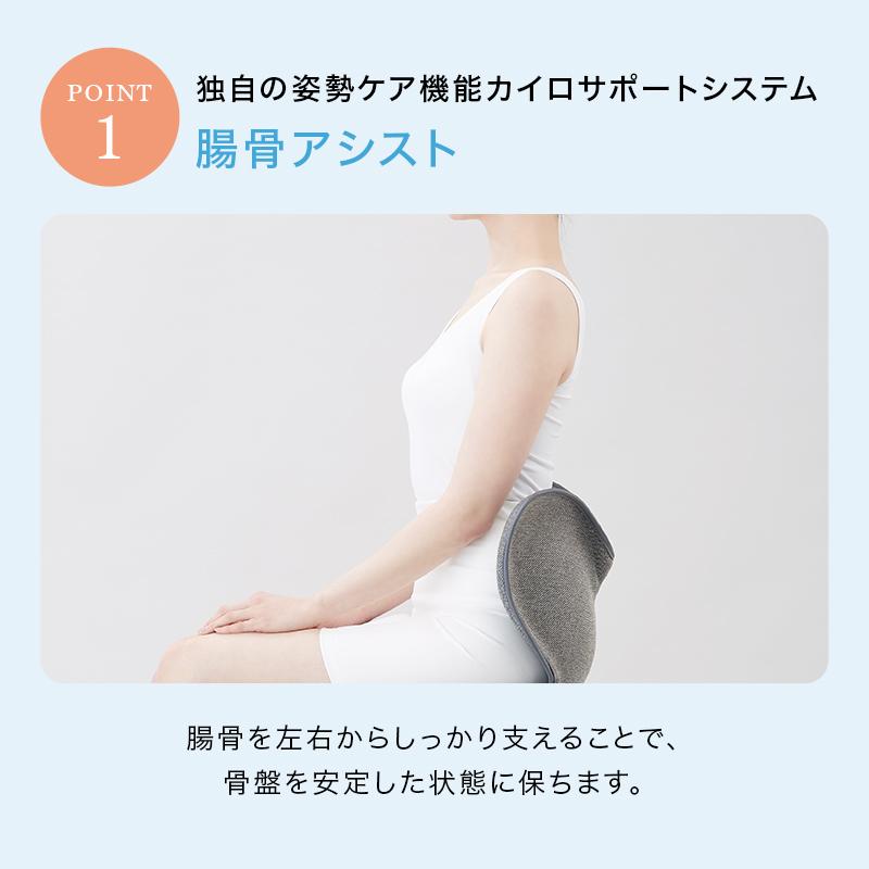 Style（スタイル） 姿勢ケアシート Style Standard スタンダード N01