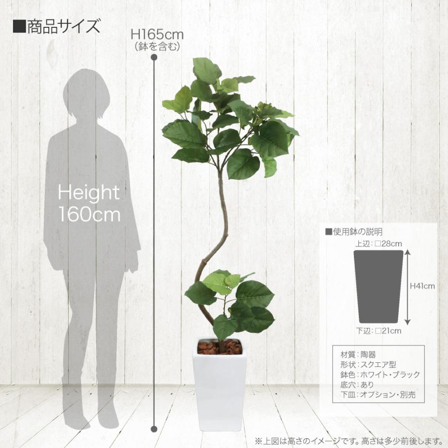 神戸花物語 フェイクグリーン 観葉植物 人工観葉 大型 光触媒 フィカス