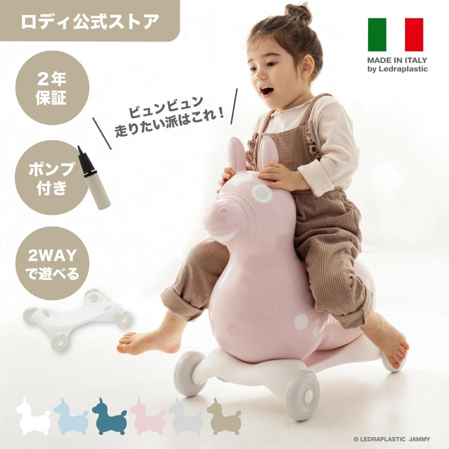 ロディ（RODY） 【公式】 『専門家推薦』体幹・バランス感覚を育てる