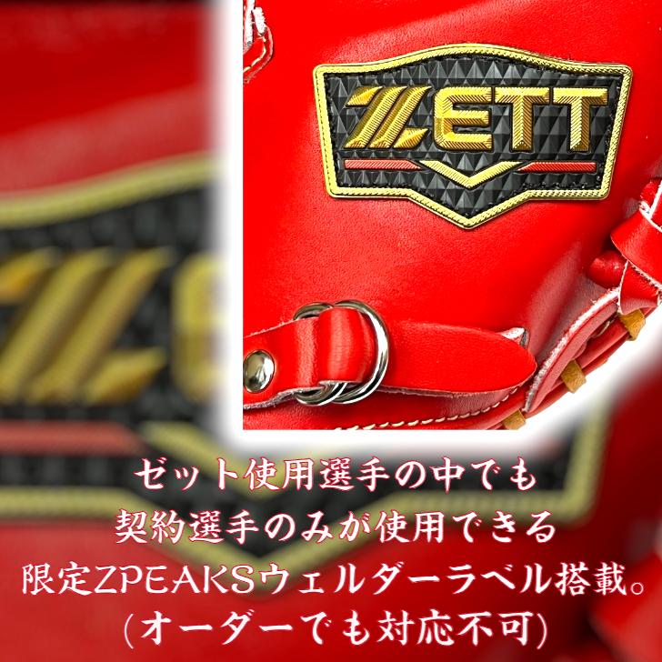 プロステイタス ゼット プレミアム 硬式 キャッチャーミット 限定
